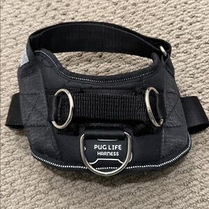 Black Dog Harness